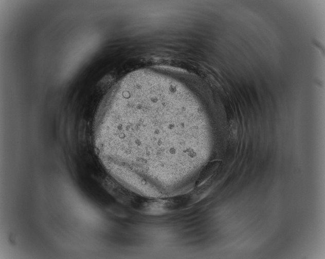 X0000091230527200709061522