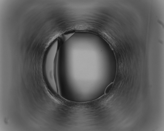 X0000091230530200709061521