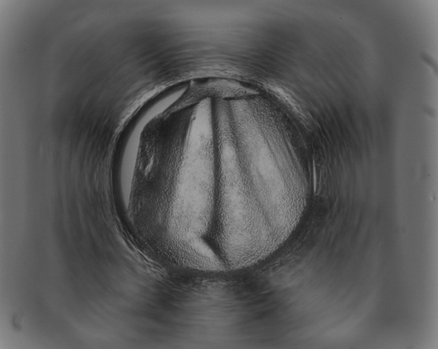 X0000091230531200709061521