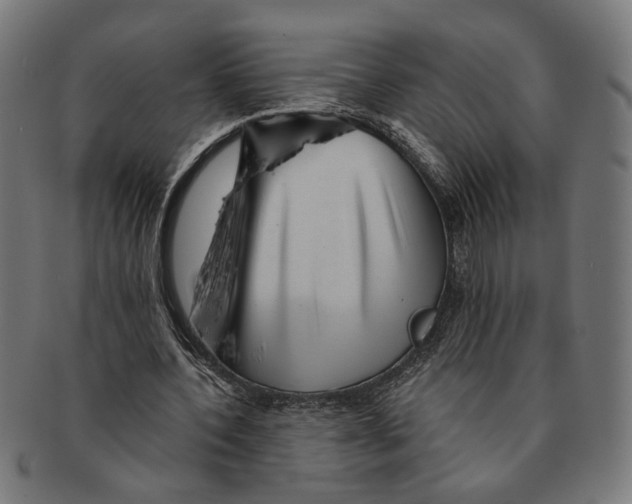 X0000091230532200709061521