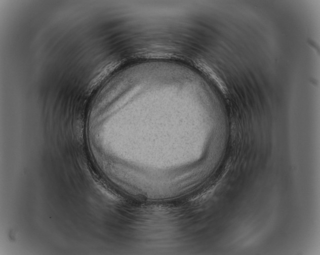 X0000091230533200709061521