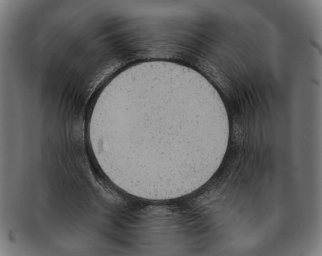X0000091230534200709061521