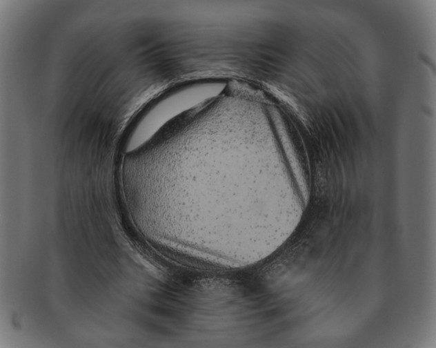 X0000091230535200709061521