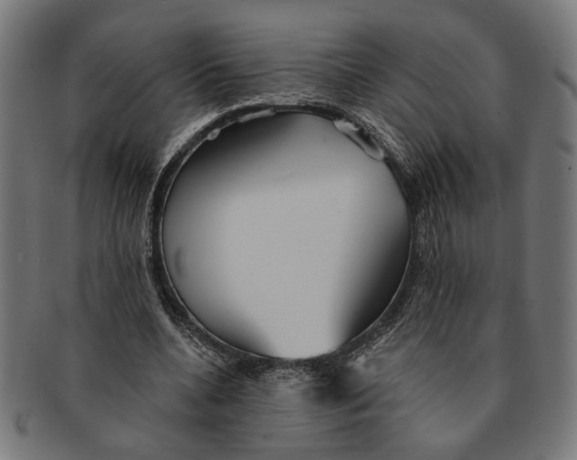 X0000091230536200709061521