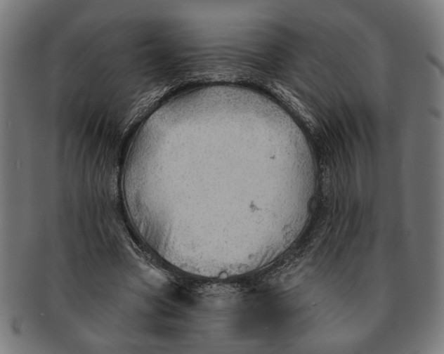 X0000091230537200709061521