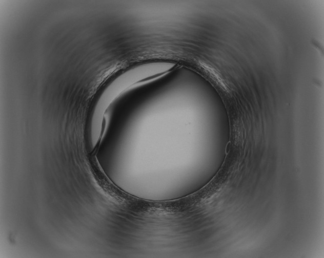 X0000091230538200709061521