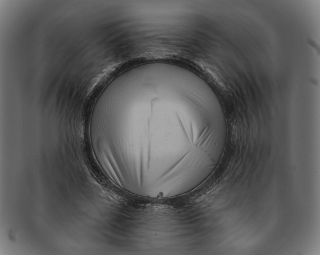 X0000091230539200709061521