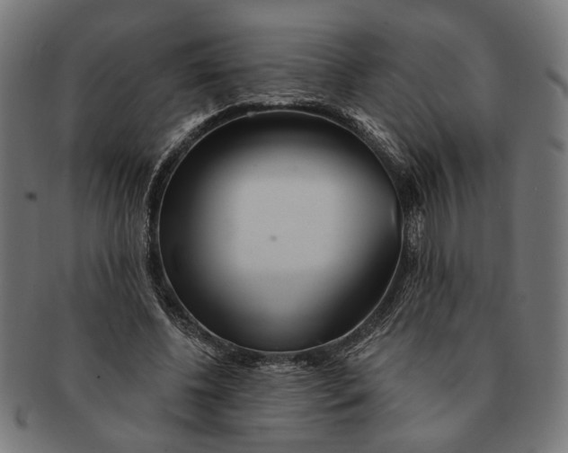 X0000091230540200709061521