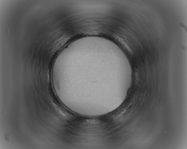 X0000091230541200709061521