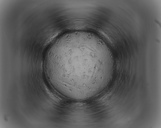 X0000091230542200709061521