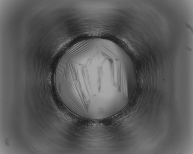 X0000091230543200709061521