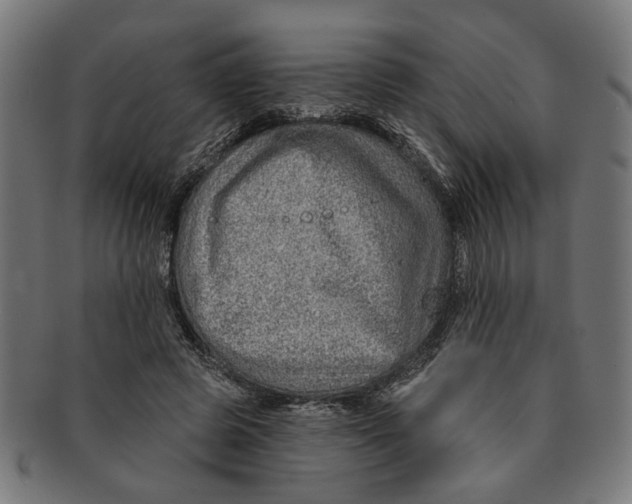 X0000091230545200709061521