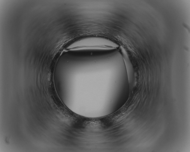 X0000091230548200709061521