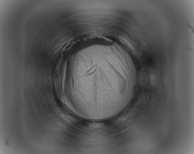 X0000091230549200709061521