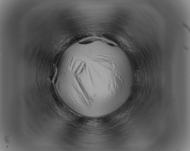 X0000091230550200709061521