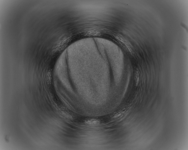 X0000091230551200709061521