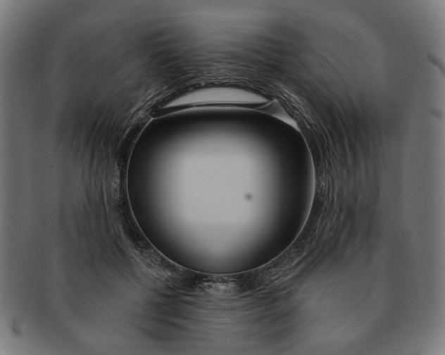 X0000091230552200709061521