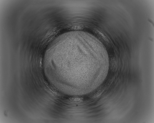 X0000091230553200709061522