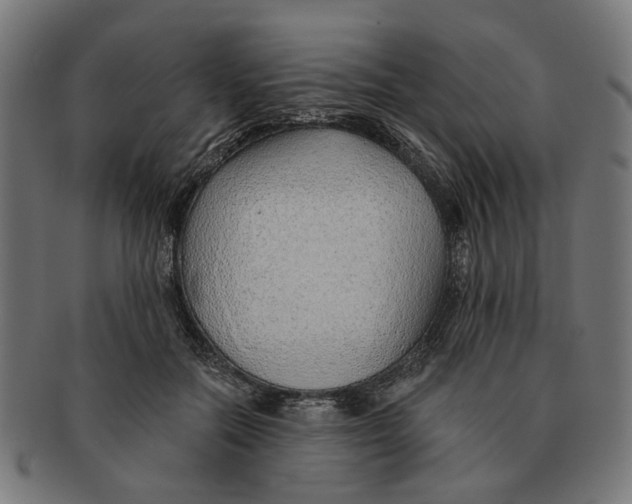 X0000091230554200709061522
