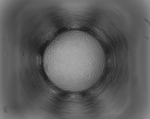 X0000091230555200709061522
