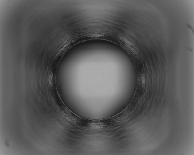 X0000091230556200709061522