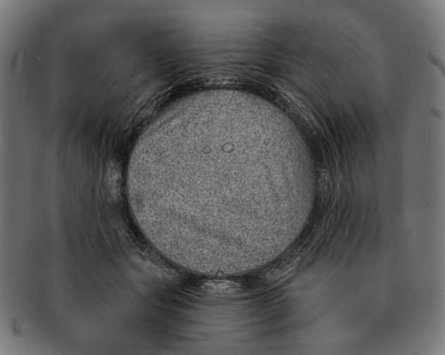 X0000091230557200709061522