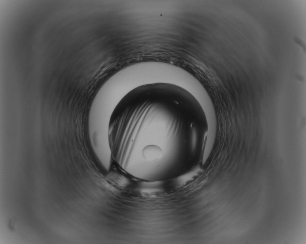 X0000091230558200709061522