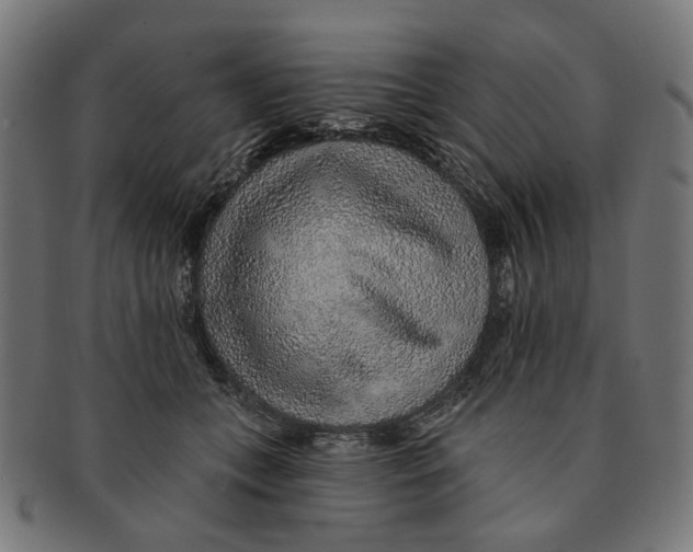 X0000091230559200709061522