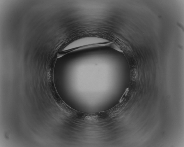 X0000091230560200709061522