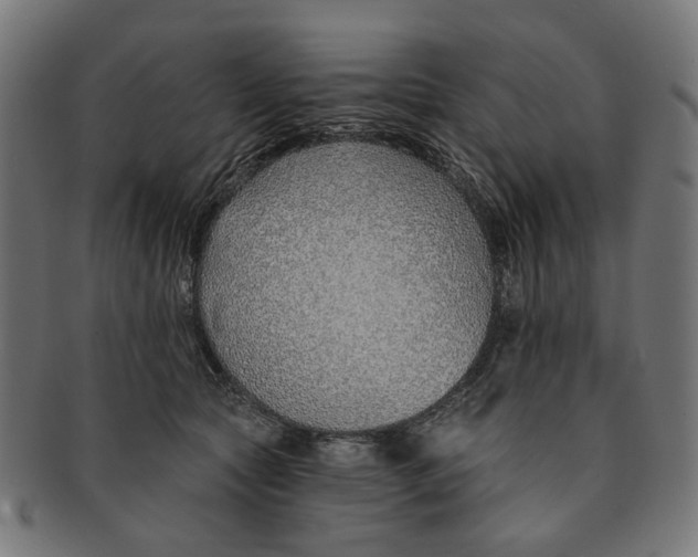 X0000091230561200709061522