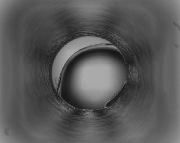 X0000091230562200709061522