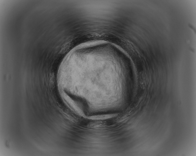 X0000091230563200709061522