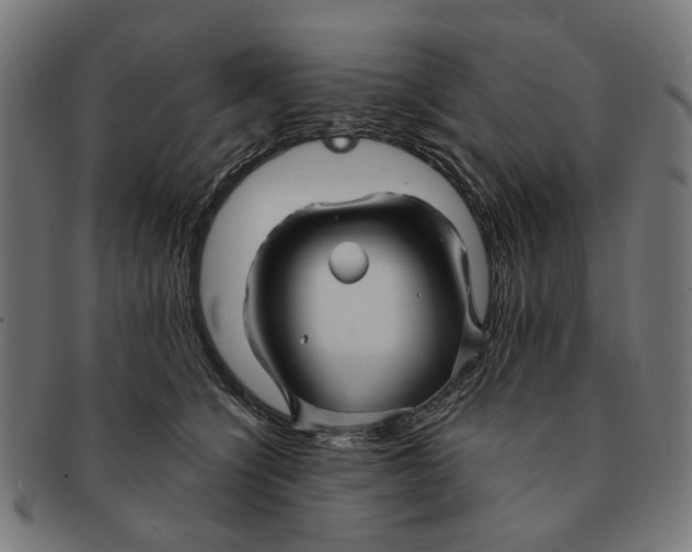 X0000091230564200709061522