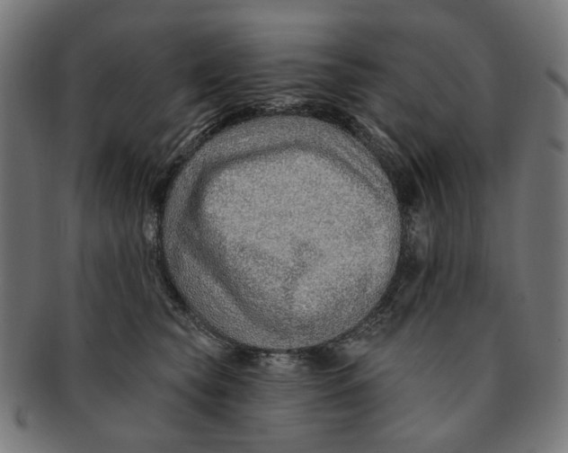 X0000091230565200709061522