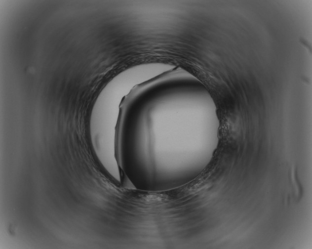 X0000091230566200709061522