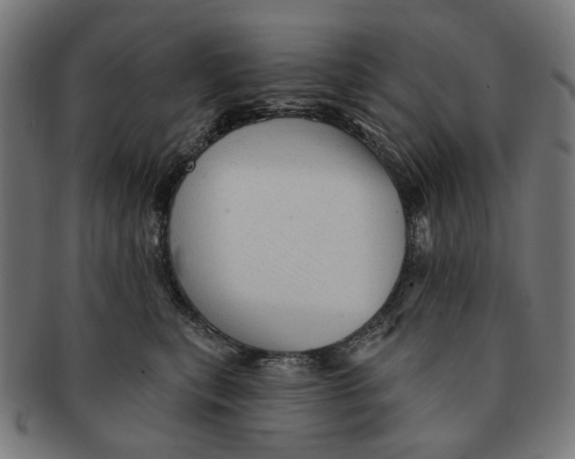 X0000091230567200709061522