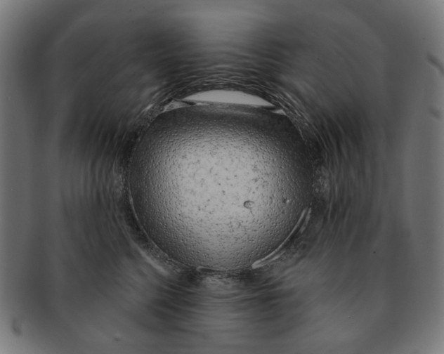 X0000091230568200709061522