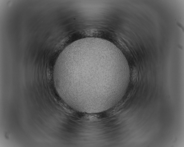 X0000091230569200709061522