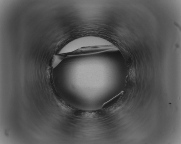 X0000091230570200709061522