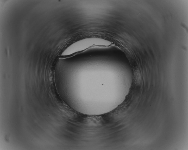 X0000091230571200709061522