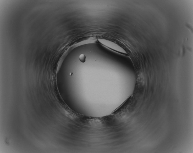 X0000091230572200709061522
