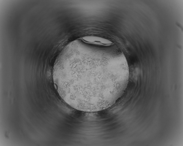 X0000091230573200709061522