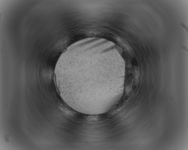 X0000091230574200709061522