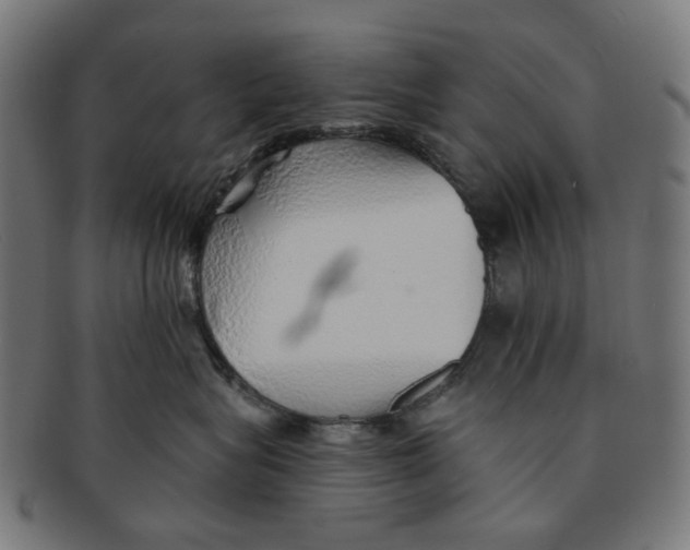 X0000091230575200709061522