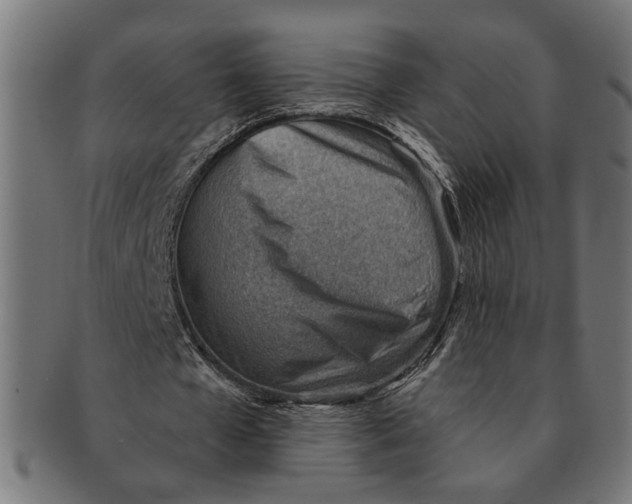 X0000091230577200709061521