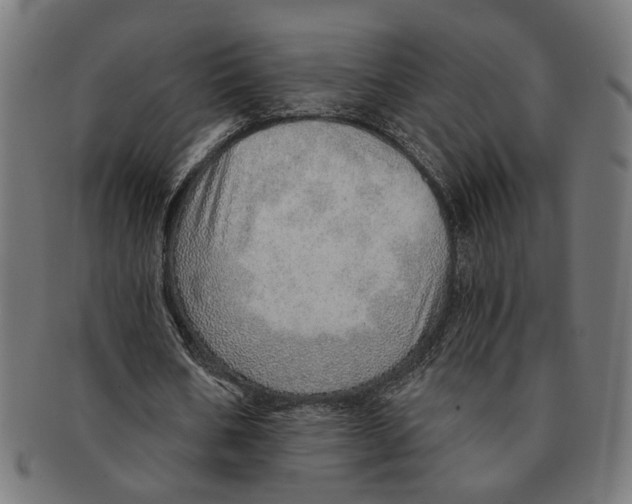 X0000091230578200709061521