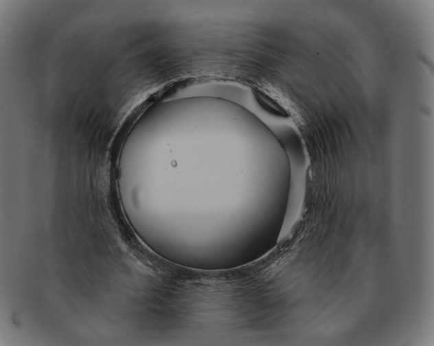 X0000091230580200709061521
