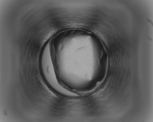 X0000091230581200709061521