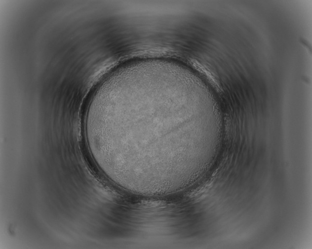 X0000091230582200709061521