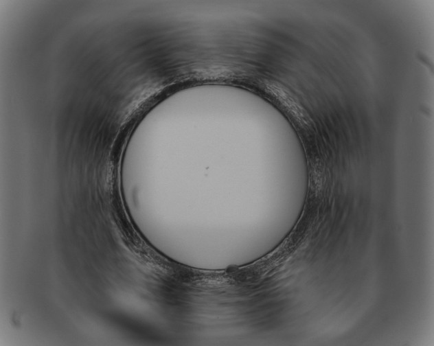 X0000091230583200709061521